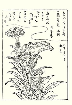 photo46.jpg