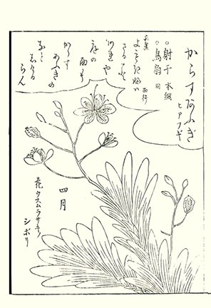 photo49.jpg