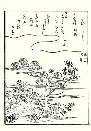 photo55.jpg