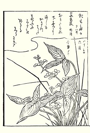 photo59.jpg