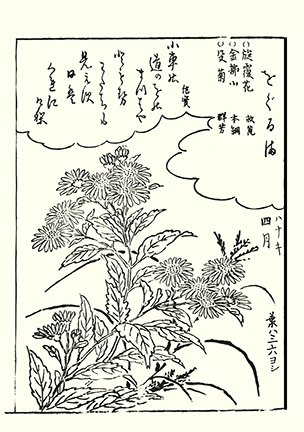 photo60.jpg