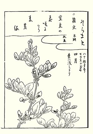 photo68.jpg