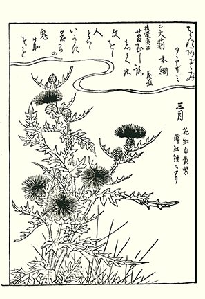 photo7.jpg