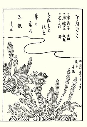 photo80.jpg