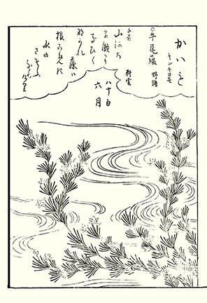 photo87.jpg