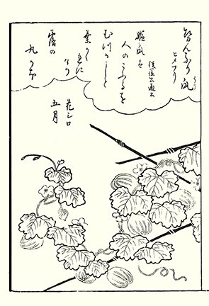 photo91.jpg