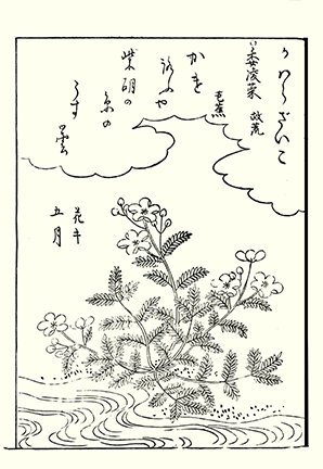 photo92.jpg