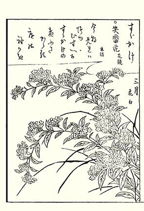 photo95.jpg