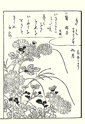 photo13.jpg