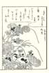 photo13_small.jpg