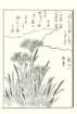 photo15_small.jpg