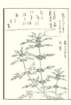 photo16_small.jpg