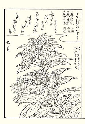 photo20.jpg