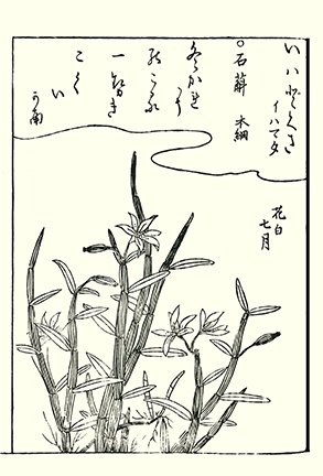 photo23.jpg