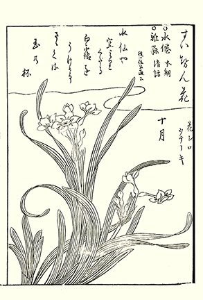 photo25.jpg
