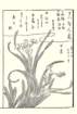 photo25_small.jpg