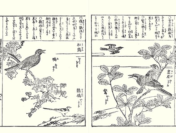 photo22.jpg