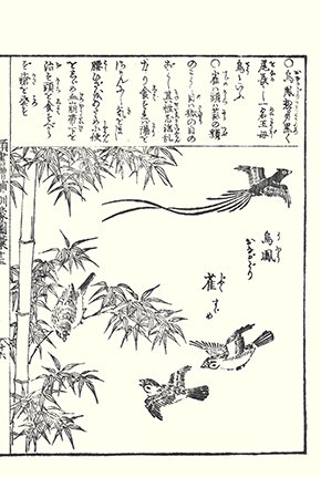 photo24.jpg