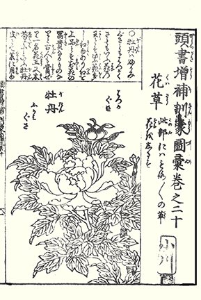 photo35.jpg