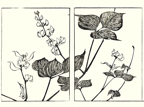 photo41.jpg
