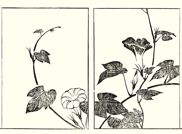 photo45.jpg