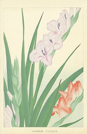 photo22.jpg