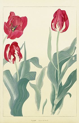 photo25.jpg