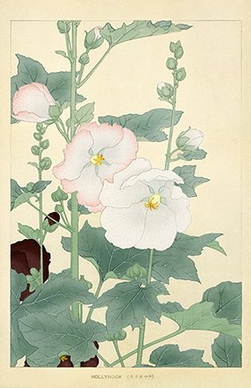 photo27.jpg