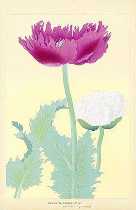 photo32.jpg