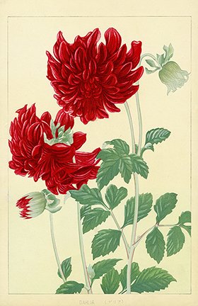 photo5.jpg
