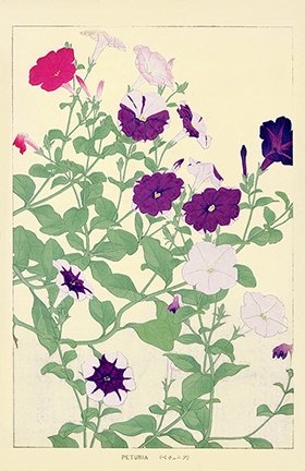 photo7.jpg