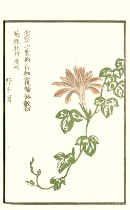 photo14.jpg