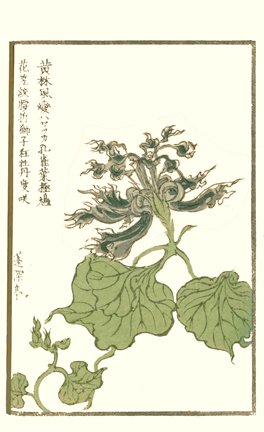 photo16.jpg