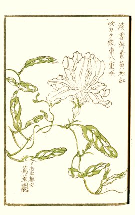 photo17.jpg