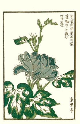 photo23.jpg