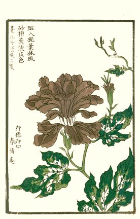 photo24.jpg