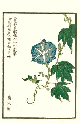 photo29.jpg