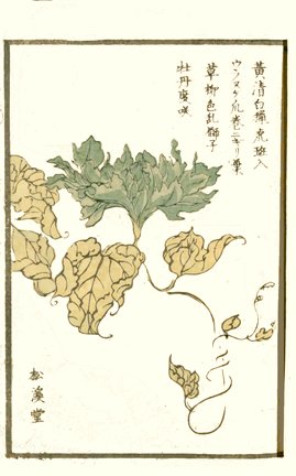 photo3.jpg