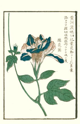 photo31.jpg