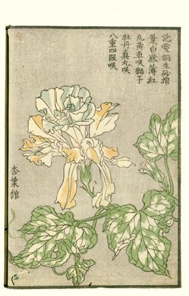 photo34.jpg