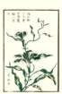 photo35_small.jpg