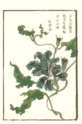 photo39.jpg