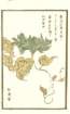 photo3_small.jpg
