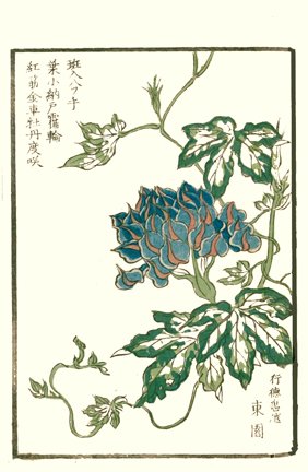 photo43.jpg