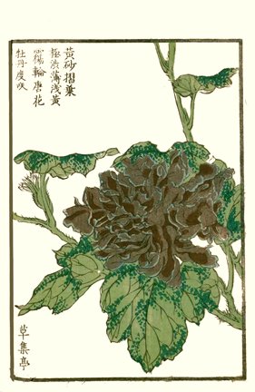 photo44.jpg