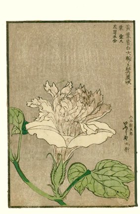 photo47.jpg