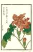 photo50_small.jpg