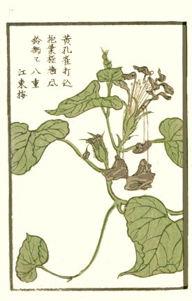 photo7.jpg