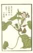 photo7_small.jpg