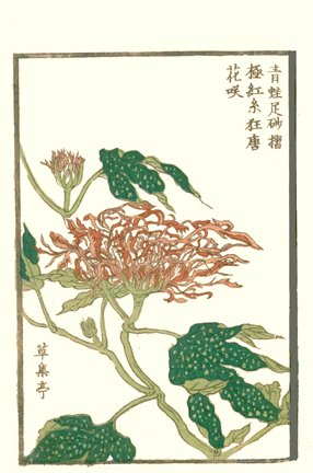 photo9.jpg